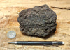 peat - hand specimen of peat from the San Andreas fault zone, formed in a marsh that dried out roughly a century ago