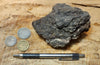peat - hand specimen of peat from the San Andreas fault zone, formed in a marsh that dried out roughly a century ago