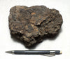 peat - silty peat from the San Andreas fault zone, formed in a marsh that dried out roughly a century ago - hand/display specimen