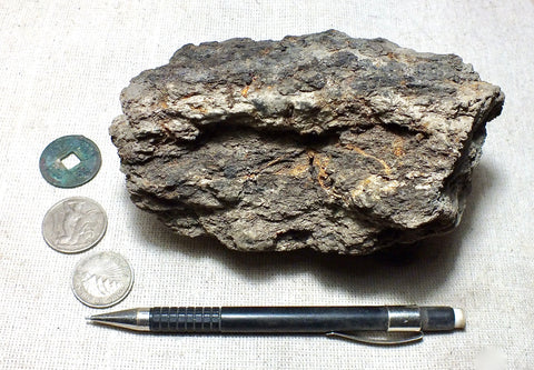 peat - silty peat from the San Andreas fault zone, formed in a marsh that dried out roughly a century ago - hand/display specimen
