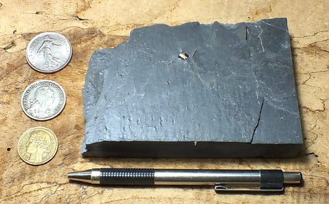 phyllite - hand specimen of a silvery to dark gray Paleozoic phyllite from the Shoo Fly Complex