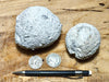 pyroclastic tuff balls - hand specimens of unusual tuff snowballs