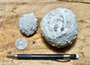 pyroclastic tuff balls - hand specimens of unusual tuff snowballs