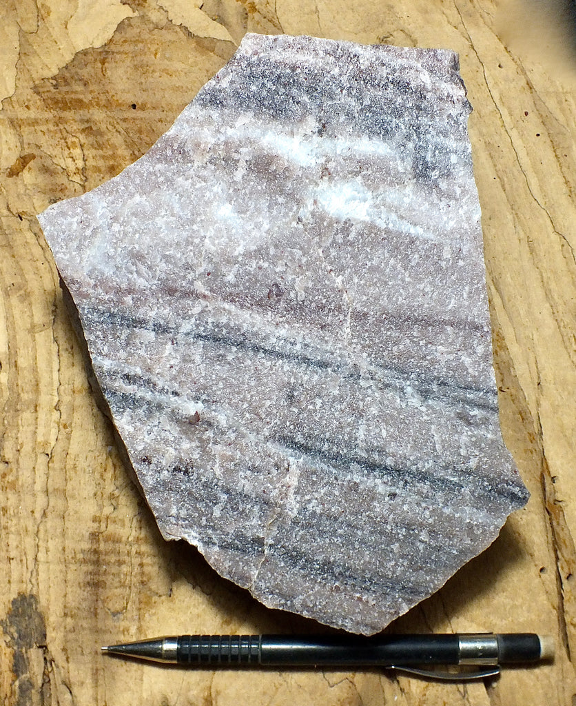 quartzite display specimen of maroon and graybanded Lower Cambrian