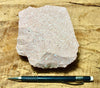 rhyolite porphyry - light pink rhyolite with small phenocrysts - hand/display specimen