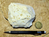 sandstone - fine grained - teaching hand specimen of an unusual arkose
