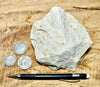 sandstone - fine grained - teaching hand/display specimen of an unusual arkose