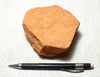 sandstone  -  teaching hand/display specimen of the Navajo Sandstone, a fine-grained orange-pink aeolian sandstone
