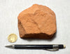 sandstone  -  teaching hand/display specimen of the Navajo Sandstone, a fine-grained orange-pink aeolian sandstone