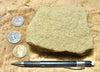 sandstone - yellow-brown medium-grained moderately lithified Miocene sandstone - hand/display specimen