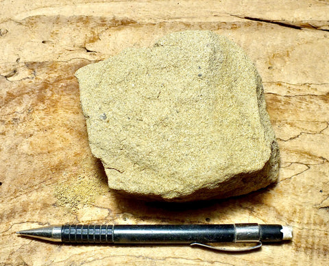sandstone - yellow-brown medium-grained moderately lithified Miocene sandstone - hand/display specimen