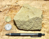 sandstone - yellow-brown medium-grained moderately lithified Miocene sandstone - hand/display specimen