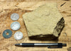 sandstone - yellow-brown medium-grained moderately lithified Miocene sandstone - hand/display specimen