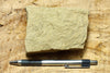 sandstone - yellow-brown medium-grained moderately lithified Miocene sandstone - hand/display specimen