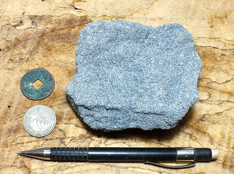 sandstone - teaching hand specimen of a blue weakly-lithified Pliocene sandstone from the Kettleman Hills of California