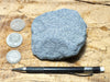sandstone - teaching hand specimen of a blue weakly-lithified Pliocene sandstone from the Kettleman Hills of California