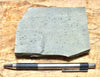 shale - hard green Lower Cambrian shale from the Harkless Formation - teaching hand specimen