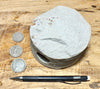 sandstone - medium grained gray - 4" diameter oil well core section from the Stevens Sand