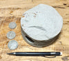 sandstone - medium grained gray - 4" diameter oil well core section from the Stevens Sand
