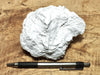 talc - soft white talc from the Acme Mine, Alexander Hills, San Bernardino County, California -  hand/display specimen