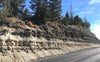 limestone - very light tan lacustrine limestone from the Eocene Green River Formation - teaching hand specimen