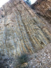 porcelanite - formed from the reprecipitation of silica during the conversion of siliceous sediments to sedimentary rock - Monterey Formation, CA - teaching hand specimen