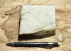 shale - siliceous McLure Shale member of the Miocene Monterey Formation - hand specimen