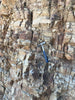 shale - siliceous McLure Shale member of the Miocene Monterey Formation - unit of 5 student specimens