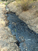 asphalt - display specimen of natural asphalt from oil seeps on Sulphur Mountain, CA