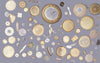 diatomite - teaching hand specimen of the Valmonte diatomite, a unit of the Monterey Formation of California
