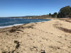 sand - large-grained quartz dune sand from Monastery Beach, Carmel Bay, California - set of two 2-ounce jars