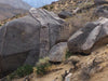 granite - teaching student specimens of typical granite  UNIT OF 5 SPECIMENS