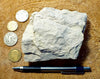 mudstone - teaching hand specimen of diatomaceous mudstone from the Sisquoc Formation, Santa Barbara County, Calif. 