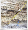 peat - layered peat and silt from the San Andreas fault zone, formed in a marsh that dried out roughly a century ago - display specimen