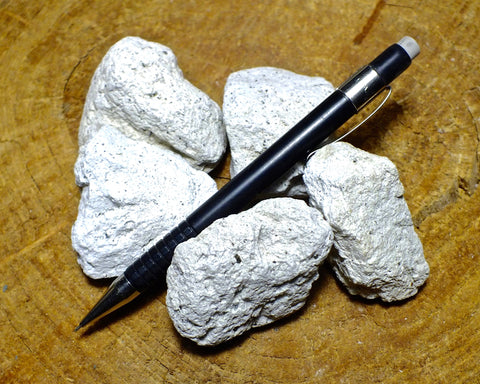 pumice -  teaching student specimens of typical white pumice that floats like a duck - UNIT OF 5 SPECIMENS