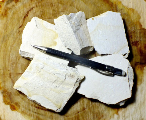 shale - teaching student specimens of light tan diatomaceous shale from the Monterey Formation, Santa Barbara Co., California  - Unit of 5 specimens