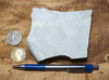 shale - hard tan shale from the Green River Formation, an Eocene lacustrine petroleum source rock - teaching hand specimen