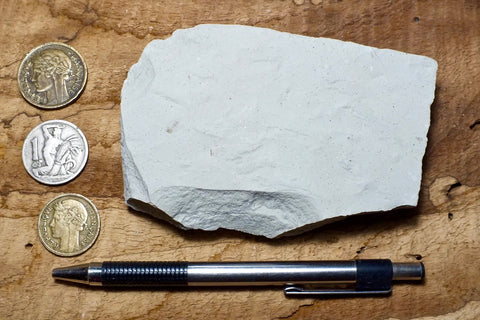 shale - hard tan shale from the Green River Formation, an Eocene lacustrine petroleum source rock - teaching hand specimen