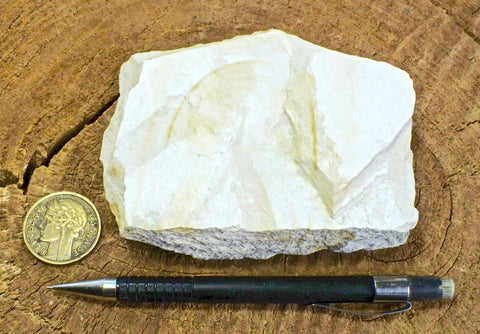 shale - teaching hand specimen of light tan diatomaceous shale from the Monterey Formation, Santa Barbara Co., California