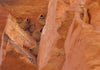 sandstone  -  teaching hand/display specimen of the Navajo Sandstone, a fine-grained orange-pink aeolian sandstone