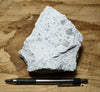 tuff - rhyolitic tuff with pumice clasts - a classic ignimbrite or pumice-dominated pyroclastic deposit - teaching hand/display specimen