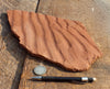 asymmetrical ripple marks in siltstone from the Moenkopi Formation - display specimen