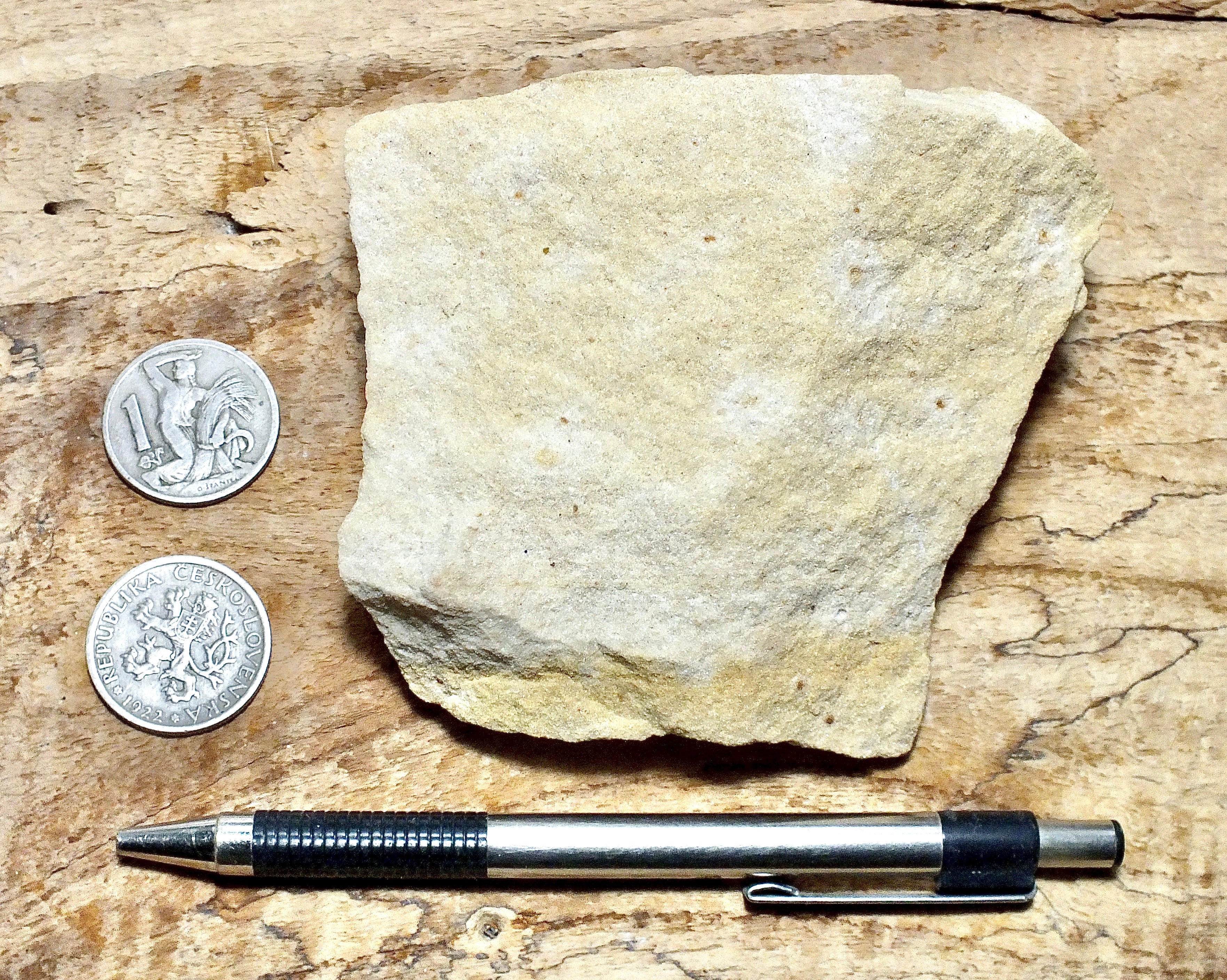 sandstone - fine grained - teaching hand/display specimen of an unusua ...