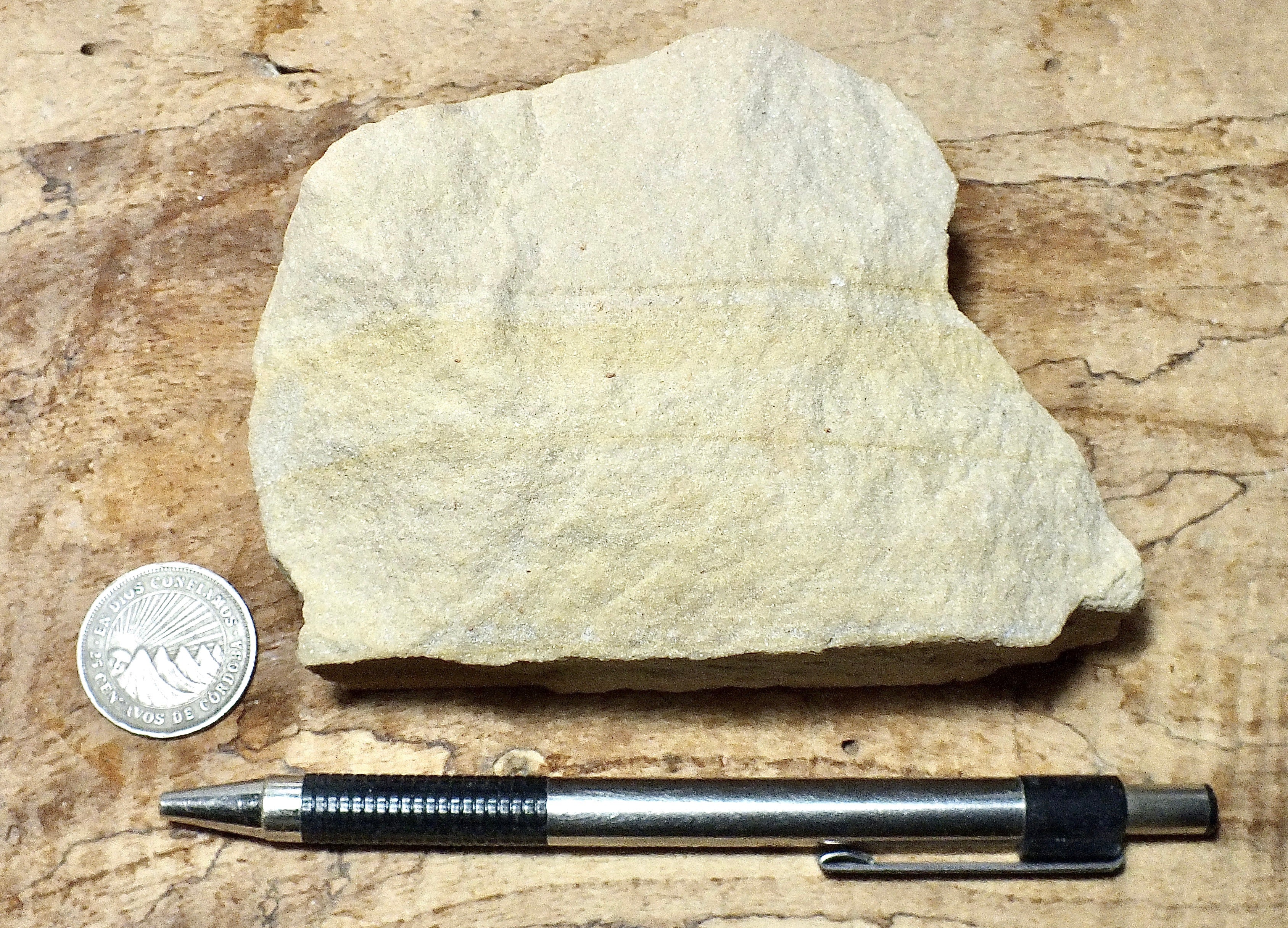 sandstone - fine grained - teaching hand/display specimen of an unusua ...