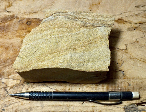 sandstone showing Liesegang banding -  hand/display specimen of Liesegang-banded sandstone from the Chinle Formation