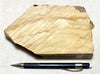 sandstone showing Liesegang banding - teaching hand/display specimen of Liesegang-banded sandstone from the Chinle Formation