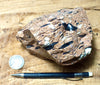 tuff - densely welded tuff with excellent fiamme - display specimen