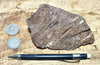 tuff - densely welded tuff - teaching hand specimen with excellent fiamme