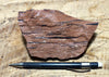 tuff - densely welded tuff - teaching hand specimen with excellent fiamme