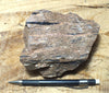 tuff - densely welded tuff - teaching hand/display specimen with excellent fiamme